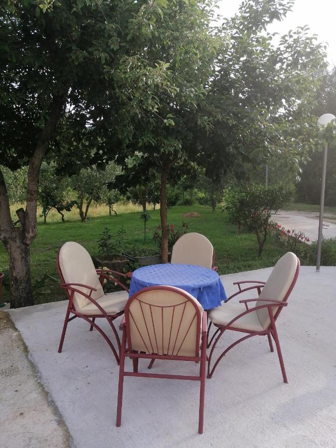 Apartman Petovic 科托尔 外观 照片